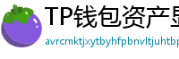 TP钱包资产显示异常？ERC-20代币强制添加教程